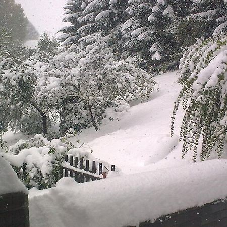 Edy Dum Villa สโวโบดา นาด อูโปว์ ภายนอก รูปภาพ